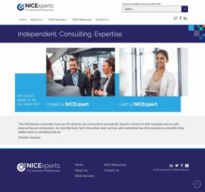 NICExperts New Website | Hyperweb.ca